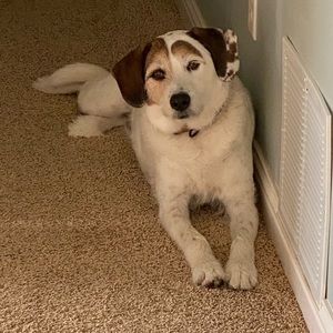 Meet your Posher, Kyle